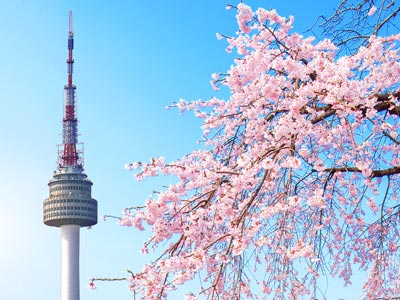Seoul - South Korea